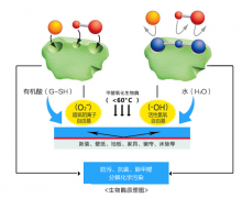 各种除甲醛方法你用过几招